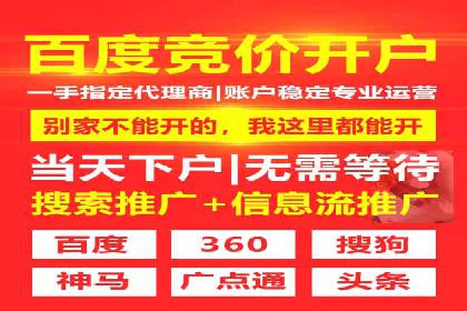 SEM代理服务：案例对比，效果哪家强